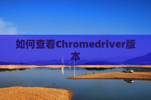 如何查看Chromedriver版本