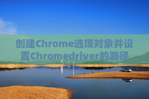 创建Chrome选项对象并设置Chromedriver的路径